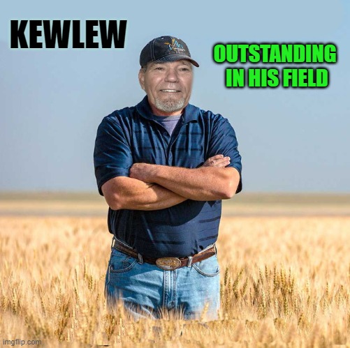 outstanding | OUTSTANDING 
IN HIS FIELD; KEWLEW | image tagged in kewlew,field | made w/ Imgflip meme maker