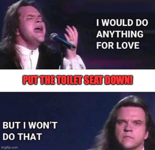 toiletseatdebate | PUT THE TOILET SEAT DOWN! | image tagged in i would do anything for love | made w/ Imgflip meme maker