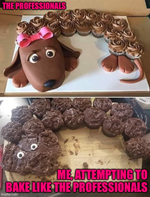 Try to be like the professionals | THE PROFESSIONALS; ME, ATTEMPTING TO BAKE LIKE THE PROFESSIONALS | image tagged in dog | made w/ Imgflip meme maker