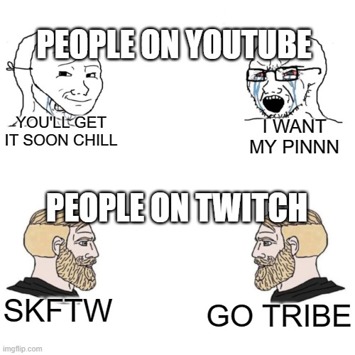 brawl stars world finals... | PEOPLE ON YOUTUBE; I WANT MY PINNN; YOU'LL GET IT SOON CHILL; PEOPLE ON TWITCH; SKFTW; GO TRIBE | image tagged in nordic gamer | made w/ Imgflip meme maker