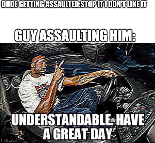 UNDERSTANDABLE, HAVE A GREAT DAY | DUDE GETTING ASSAULTED:STOP IT I DON’T LIKE IT; GUY ASSAULTING HIM: | image tagged in understandable have a great day | made w/ Imgflip meme maker