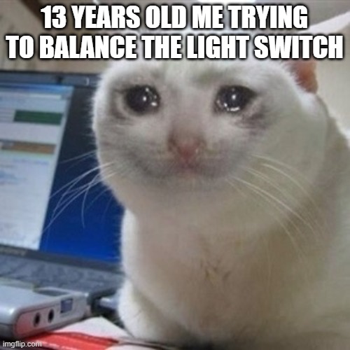 Crying cat | 13 YEARS OLD ME TRYING TO BALANCE THE LIGHT SWITCH | image tagged in crying cat | made w/ Imgflip meme maker