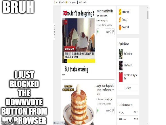 BRUH; I JUST BLOCKED THE DOWNVOTE BUTTON FROM MY BROWSER | made w/ Imgflip meme maker