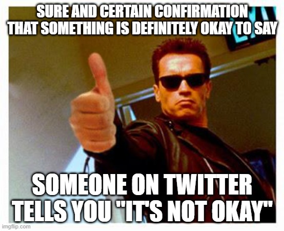 If in doubt, use my 100% accurate gauge | SURE AND CERTAIN CONFIRMATION THAT SOMETHING IS DEFINITELY OKAY TO SAY; SOMEONE ON TWITTER TELLS YOU "IT'S NOT OKAY" | image tagged in terminator thumbs up | made w/ Imgflip meme maker