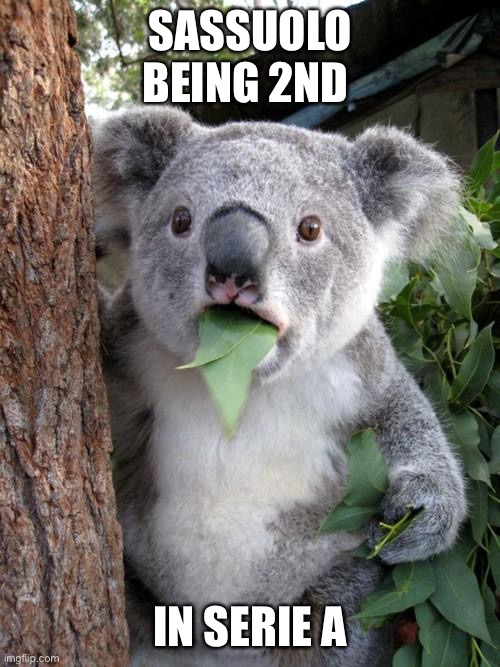 Surprised Koala Meme | SASSUOLO BEING 2ND; IN SERIE A | image tagged in memes,surprised koala | made w/ Imgflip meme maker