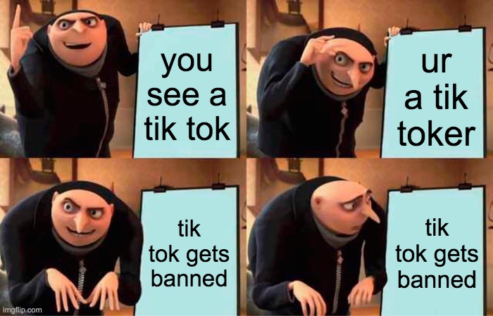 Gru's Plan Meme | you see a tik tok ur a tik toker tik tok gets banned tik tok gets banned | image tagged in memes,gru's plan | made w/ Imgflip meme maker