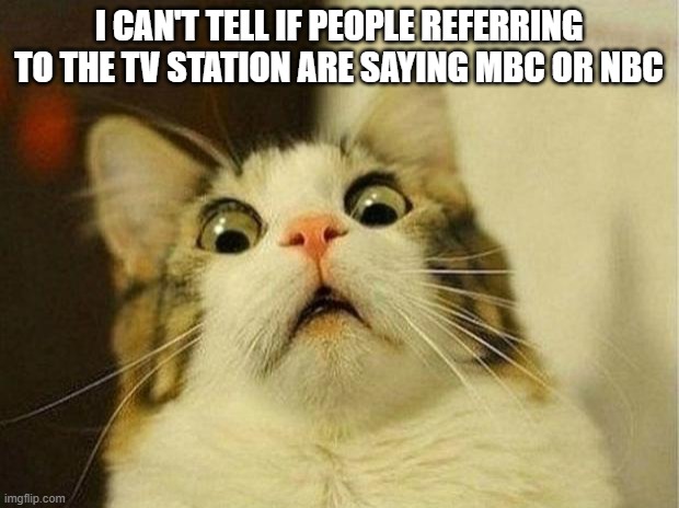 Scared Cat | I CAN'T TELL IF PEOPLE REFERRING TO THE TV STATION ARE SAYING MBC OR NBC | image tagged in memes,scared cat | made w/ Imgflip meme maker