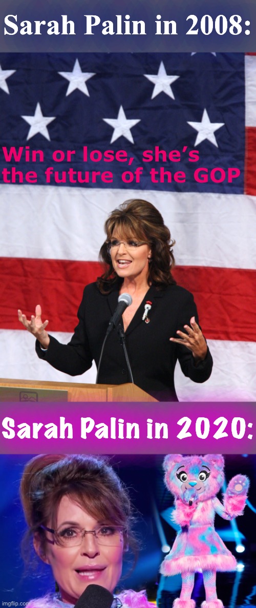 [Predictions that didn’t age well, Vol. I] | Sarah Palin in 2008:; Win or lose, she’s the future of the GOP; Sarah Palin in 2020: | image tagged in sarah palin flag,sarah palin the masked singer,2008,2020,politics lol,political humor | made w/ Imgflip meme maker