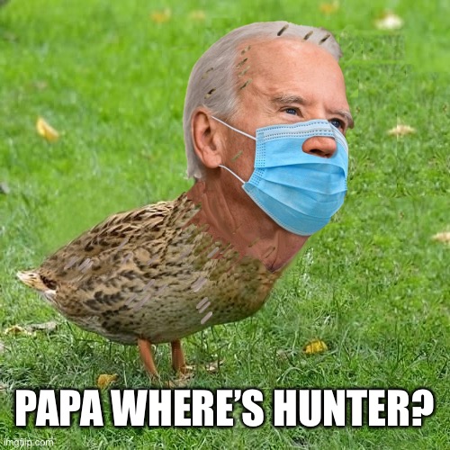 He Go ByeBye? |  PAPA WHERE’S HUNTER? | image tagged in joe bidenduck | made w/ Imgflip meme maker
