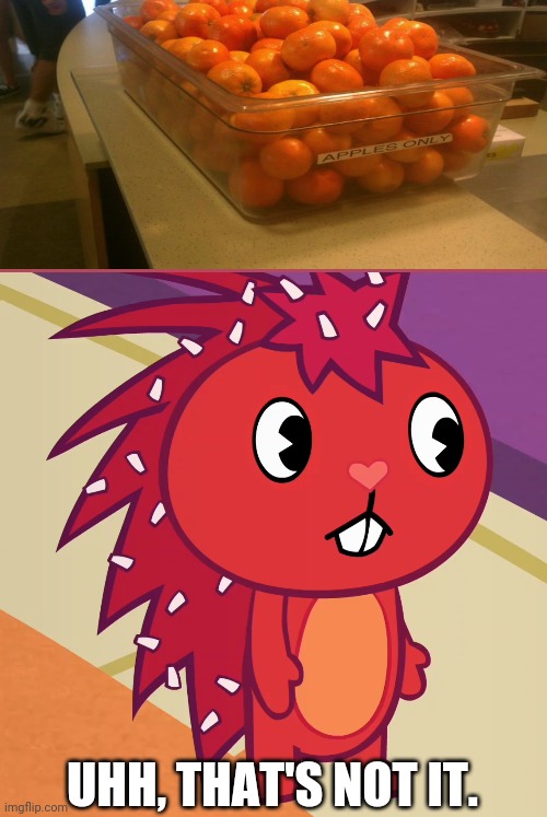 That's oranges! | UHH, THAT'S NOT IT. | image tagged in flaky htf,you had one job,fails,task failed successfully | made w/ Imgflip meme maker