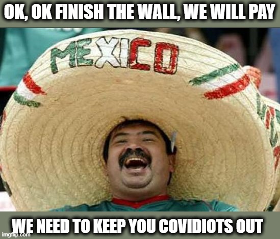 Mexican word of the day | OK, OK FINISH THE WALL, WE WILL PAY; WE NEED TO KEEP YOU COVIDIOTS OUT | image tagged in mexican word of the day,covid19,donald trump is an idiot,memes,politics,border wall | made w/ Imgflip meme maker