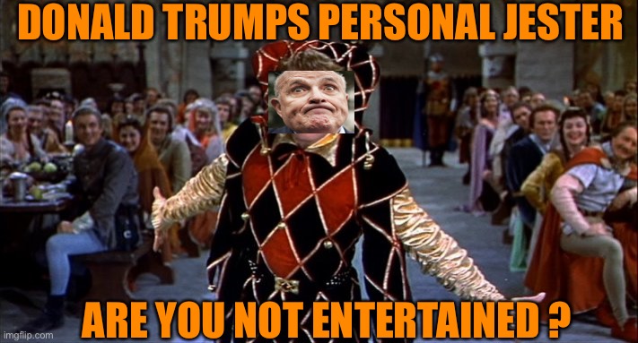 Court Jester | DONALD TRUMPS PERSONAL JESTER ARE YOU NOT ENTERTAINED ? | image tagged in court jester | made w/ Imgflip meme maker