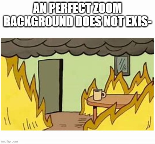 I actualy use this background? | AN PERFECT ZOOM BACKGROUND DOES NOT EXIS- | image tagged in funny,this is fine,zoom | made w/ Imgflip meme maker