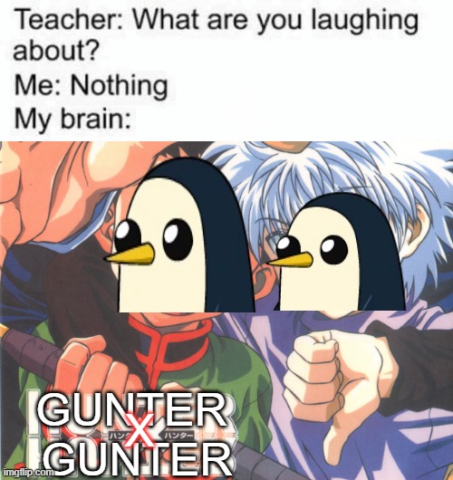 Accidently types gunter x gunter then thought of this meme | GUNTER; X; GUNTER | image tagged in animeme | made w/ Imgflip meme maker