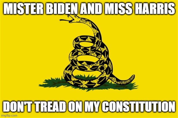 dont tread on me | MISTER BIDEN AND MISS HARRIS; DON'T TREAD ON MY CONSTITUTION | image tagged in dont tread on me | made w/ Imgflip meme maker