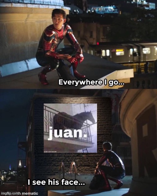 juan. everywhere. just juan. | image tagged in juan,everywhere i go i see his face,memes | made w/ Imgflip meme maker