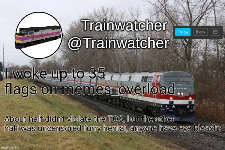 Trainwatcher Announcement 3 | I woke up to 35 flags on memes_overload; About half didn't violate the TOS, but the other half was uncensored furry hentai, anyone have eye bleach? | image tagged in trainwatcher announcement 3 | made w/ Imgflip meme maker