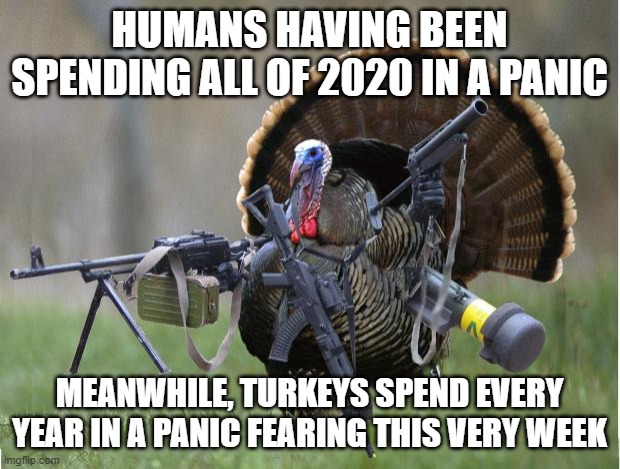 turkey | HUMANS HAVING BEEN SPENDING ALL OF 2020 IN A PANIC; MEANWHILE, TURKEYS SPEND EVERY YEAR IN A PANIC FEARING THIS VERY WEEK | image tagged in turkey | made w/ Imgflip meme maker