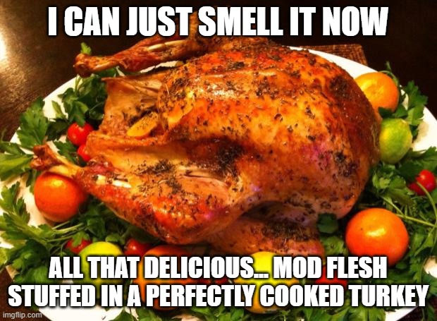 Roasted turkey | I CAN JUST SMELL IT NOW; ALL THAT DELICIOUS... MOD FLESH STUFFED IN A PERFECTLY COOKED TURKEY | image tagged in roasted turkey | made w/ Imgflip meme maker