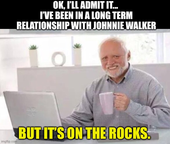 On the rocks | OK, I’LL ADMIT IT...  I’VE BEEN IN A LONG TERM RELATIONSHIP WITH JOHNNIE WALKER; BUT IT’S ON THE ROCKS. | image tagged in harold | made w/ Imgflip meme maker