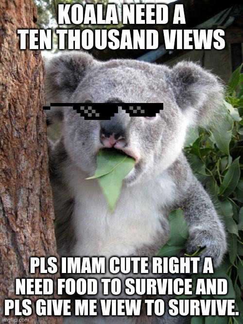 Surprised Koala | KOALA NEED A TEN THOUSAND VIEWS; PLS IMAM CUTE RIGHT A NEED FOOD TO SURVICE AND PLS GIVE ME VIEW TO SURVIVE. | image tagged in memes,surprised koala | made w/ Imgflip meme maker