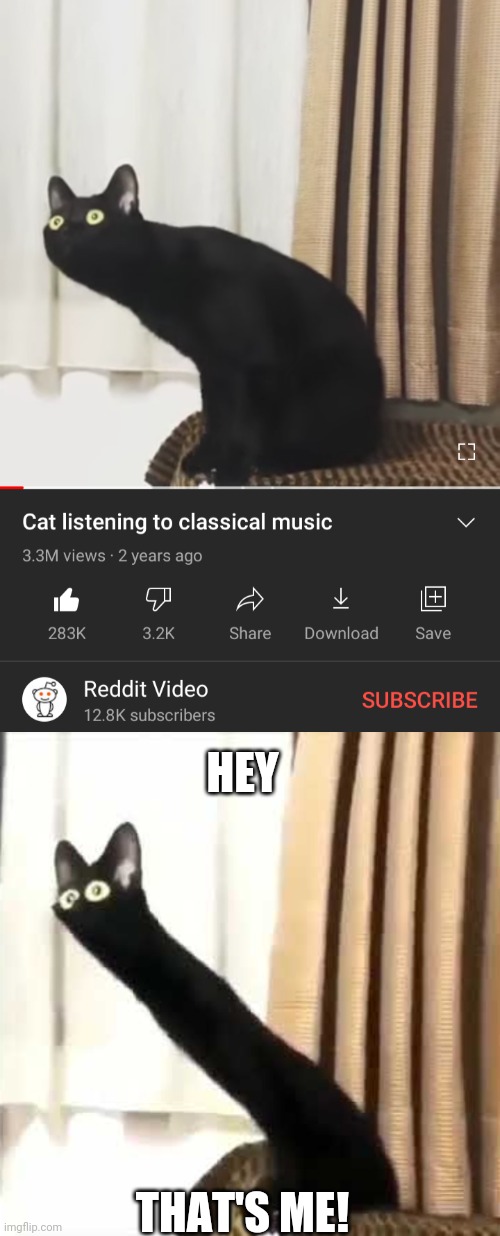 Finding the originality of a meme is so satisfying | HEY; THAT'S ME! | image tagged in long neck cat,memes,lol | made w/ Imgflip meme maker