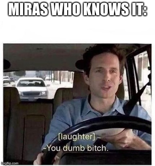 You dumb bitch | MIRAS WHO KNOWS IT: | image tagged in you dumb bitch | made w/ Imgflip meme maker