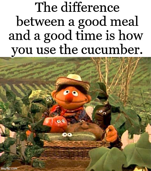Placement is very important. | The difference between a good meal and a good time is how 
you use the cucumber. | image tagged in cucumber,funny because it's true,funny food | made w/ Imgflip meme maker