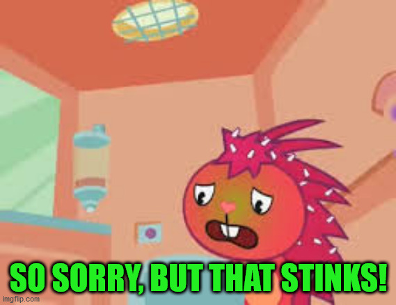 SO SORRY, BUT THAT STINKS! | made w/ Imgflip meme maker