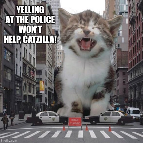 Is there something the matter? | YELLING AT THE POLICE WON’T HELP, CATZILLA! | image tagged in police,catzilla,funny memes,cat meme,lol so funny | made w/ Imgflip meme maker