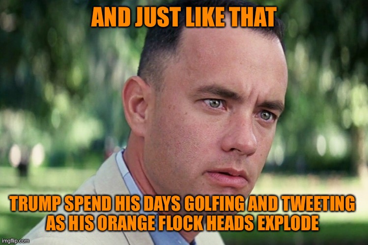 And Just Like That Meme | AND JUST LIKE THAT TRUMP SPEND HIS DAYS GOLFING AND TWEETING 
AS HIS ORANGE FLOCK HEADS EXPLODE | image tagged in memes,and just like that | made w/ Imgflip meme maker