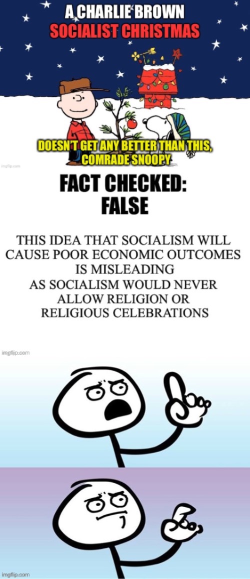 Technically True But Worse | image tagged in christmas,charlie brown,socialism,poor economy,religion,snoopy | made w/ Imgflip meme maker