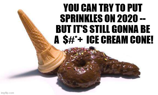 2020 sucks | YOU CAN TRY TO PUT SPRINKLES ON 2020 -- BUT IT'S STILL GONNA BE  A  $#*+  ICE CREAM CONE! | image tagged in donald trump,trump 2020,trump,poop,ice cream | made w/ Imgflip meme maker