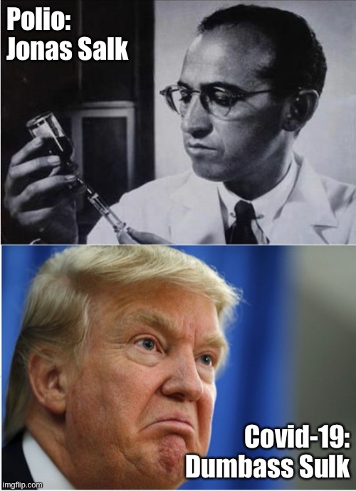 Dumbass | Polio: 
Jonas Salk; Covid-19:
Dumbass Sulk | image tagged in trump,covid,election | made w/ Imgflip meme maker