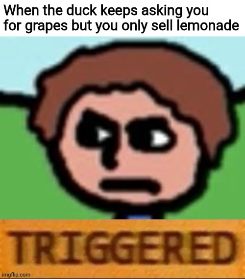The duck song triggered | When the duck keeps asking you for grapes but you only sell lemonade | image tagged in the duck song triggered | made w/ Imgflip meme maker