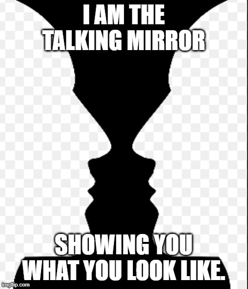 Idk | I AM THE TALKING MIRROR SHOWING YOU WHAT YOU LOOK LIKE. | image tagged in idk | made w/ Imgflip meme maker