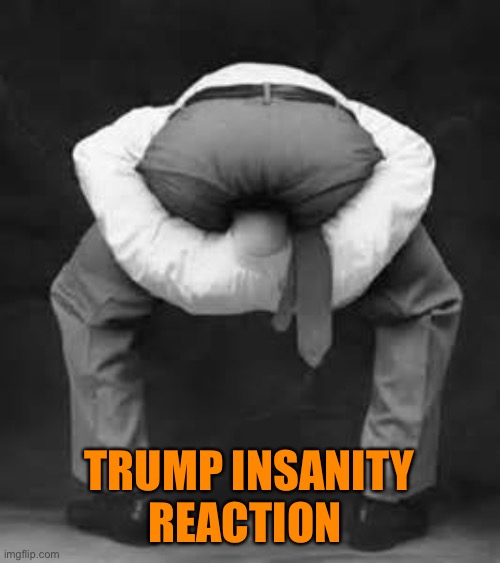 Head up your ass | TRUMP INSANITY REACTION | image tagged in head up your ass | made w/ Imgflip meme maker