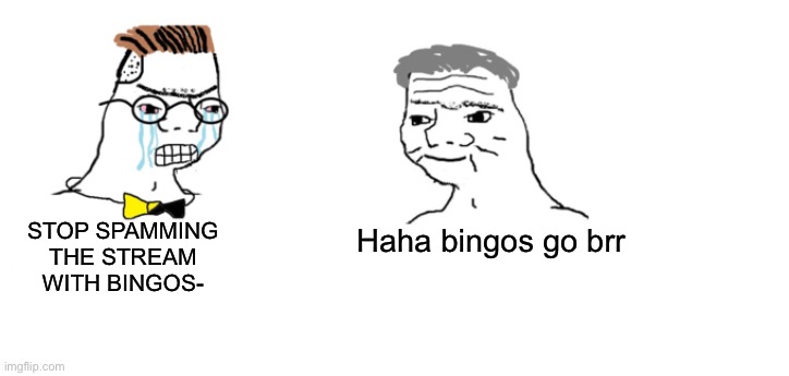 Meme because yes. | STOP SPAMMING THE STREAM WITH BINGOS-; Haha bingos go brr | image tagged in nooo haha go brrr | made w/ Imgflip meme maker