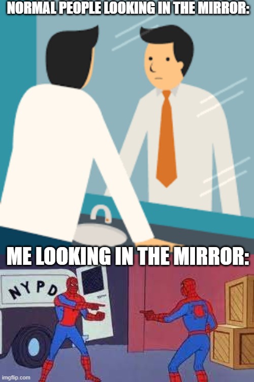 Normal everday life | NORMAL PEOPLE LOOKING IN THE MIRROR:; ME LOOKING IN THE MIRROR: | image tagged in mirror | made w/ Imgflip meme maker