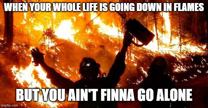 WHEN YOUR WHOLE LIFE IS GOING DOWN IN FLAMES; BUT YOU AIN'T FINNA GO ALONE | image tagged in up in flames,life,life sucks,fire,firefighter | made w/ Imgflip meme maker
