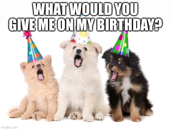 Trend lol | WHAT WOULD YOU GIVE ME ON MY BIRTHDAY? | image tagged in happy birthday puppies | made w/ Imgflip meme maker