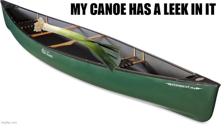 leeky canoe | MY CANOE HAS A LEEK IN IT | image tagged in canoe,leek | made w/ Imgflip meme maker