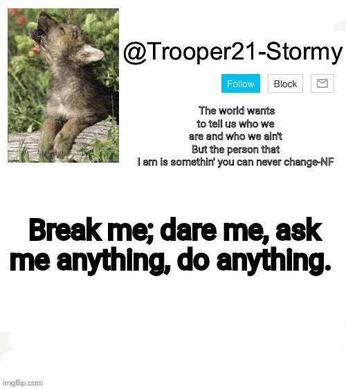 T21-Stormy | Break me; dare me, ask me anything, do anything. | image tagged in t21-stormy | made w/ Imgflip meme maker