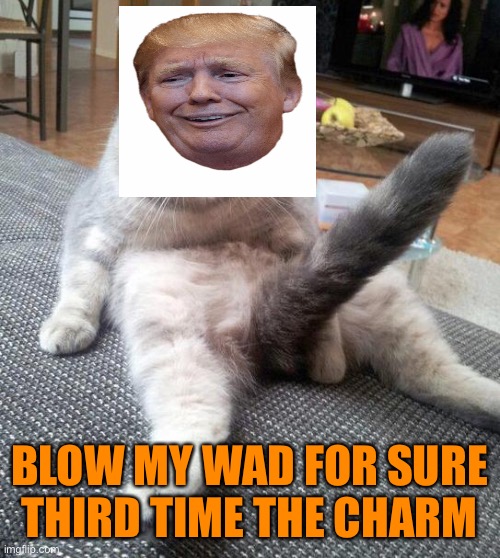 Sexy Cat Meme | BLOW MY WAD FOR SURE
THIRD TIME THE CHARM | image tagged in memes,sexy cat | made w/ Imgflip meme maker
