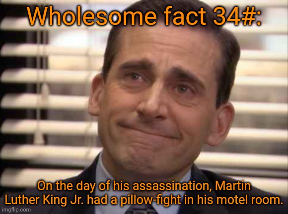 wholesome | Wholesome fact 34#:; On the day of his assassination, Martin Luther King Jr. had a pillow-fight in his motel room. | image tagged in wholesome | made w/ Imgflip meme maker