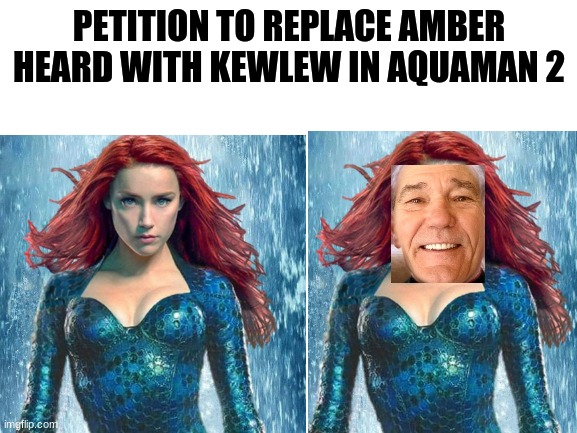 Who is with me? | PETITION TO REPLACE AMBER HEARD WITH KEWLEW IN AQUAMAN 2 | image tagged in funny,memes,kewlew,justice for johnny depp | made w/ Imgflip meme maker