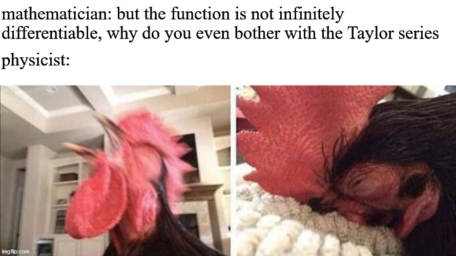 mathematician to physicist |  mathematician: but the function is not infinitely differentiable, why do you even bother with the Taylor series; physicist: | image tagged in crowing rooster | made w/ Imgflip meme maker