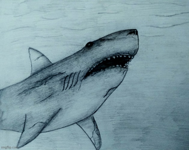 Jaws tribute | made w/ Imgflip meme maker