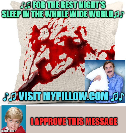 We will always remember those who support murder and gun violence. | ♪♫ FOR THE BEST NIGHT'S SLEEP IN THE WHOLE WIDE WORLD♫♪; ♪♫ VISIT MYPILLOW.COM ♫♪; I APPROVE THIS MESSAGE | image tagged in ricky shroeder,mypillow,murderers | made w/ Imgflip meme maker