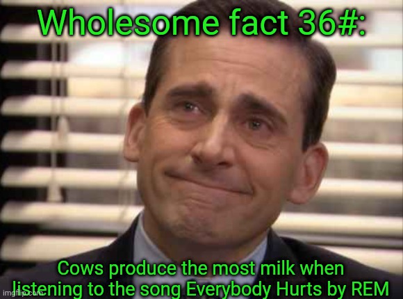 wholesome | Wholesome fact 36#:; Cows produce the most milk when listening to the song Everybody Hurts by REM | image tagged in wholesome | made w/ Imgflip meme maker